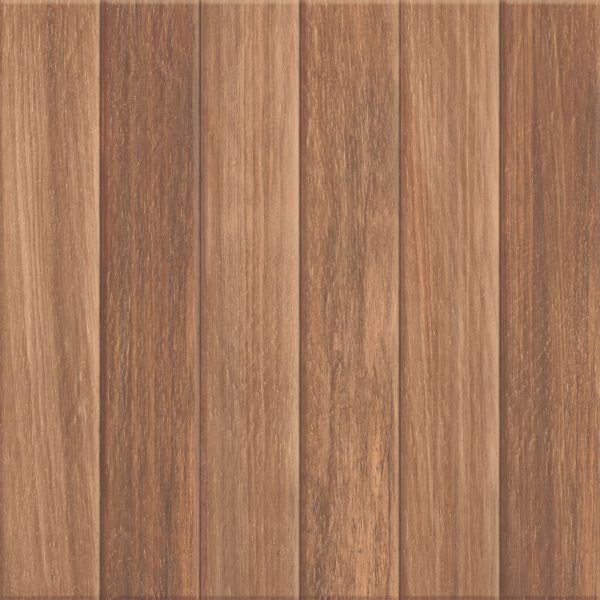 Darwin Brown 50x50