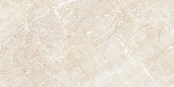 Claire Brown 25x50