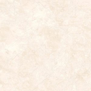 Havana Cream 50x50