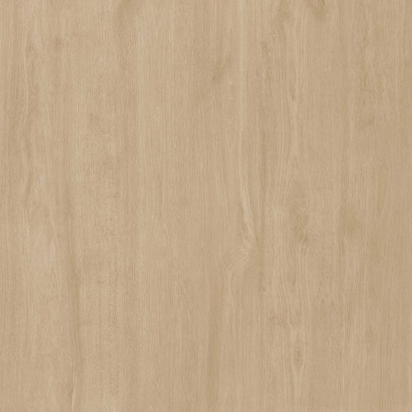 Sweden Cream 60x60